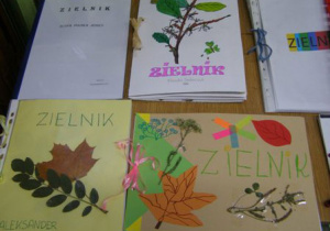 Zielnik 1