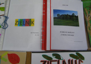 Zielnik 2