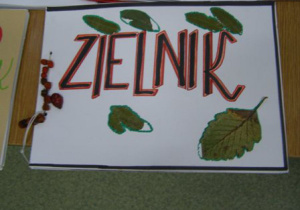 Zielnik 3