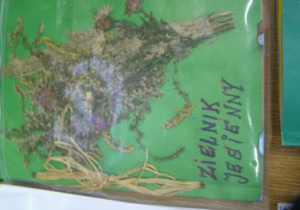 Zielnik 4
