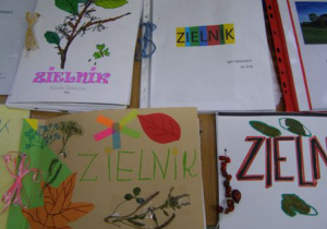 Zielnik 10
