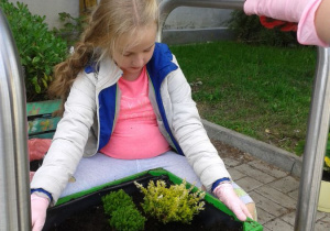 Jesienne porządki w skrzynce 4