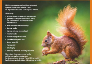 Dzikość serca 1