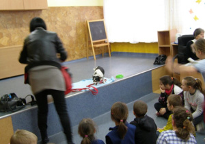 Spotkanie z pracownikiem Schroniska dla Bezdomnych Zwierząt 1