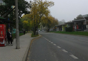 Ulica. W tle widoczna grupa uczniów w kamizelkach odblaskowych stojąca przed przejściem dla pieszych.