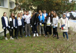 Klasa 8 a pozuje do zdjęcia pod sosną czarną.