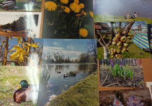 Wystawa fotografii z konkursu