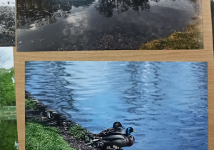 Wystawa fotografii z konkursu