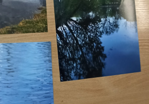 Wystawa fotografii z konkursu