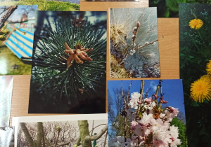 Wystawa fotografii z konkursu