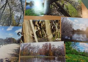Wystawa fotografii z konkursu