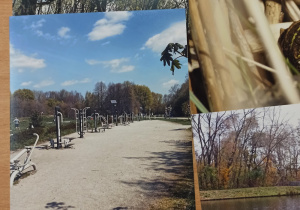Wystawa fotografii z konkursu