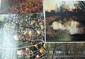 Wystawa fotografii z konkursu