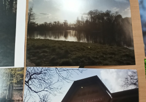 Wystawa fotografii z konkursu