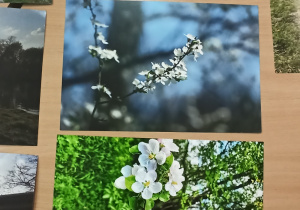 Wystawa fotografii z konkursu