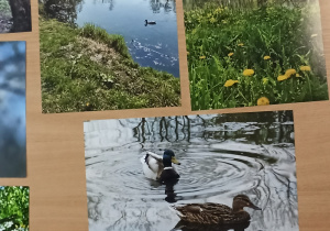 Wystawa fotografii z konkursu