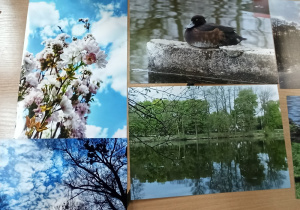 Wystawa fotografii z konkursu