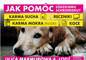 Jak pomóc łódzkiemu schronisku? - plakat