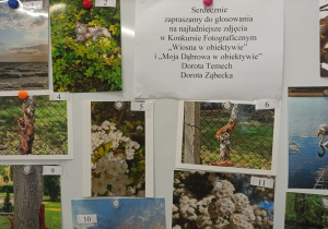 Wystawa zdjęć