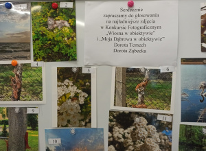 Finał konkursu "Wiosna w obiektywie"