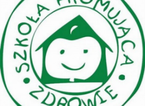 Sprawozdanie z autoewaluacji Szkoły Promującej Zdrowie