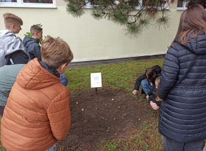Akcje ekologiczne
