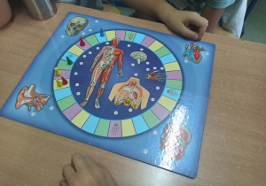 "Anatomiczna" gra planszowa.
