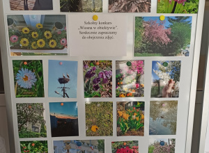 Rozstrzygnięcie szkolnego konkursu z cyklu "W obiektywie"