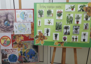 Ekologiczne prace rysunkowe i zdjęcia roślin oczyszczających powietrze.
