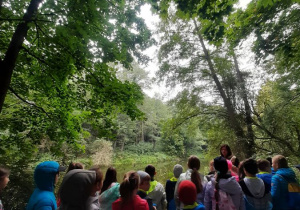 Dzieci obserwują warstwy lasu w naturalnym środowisku.