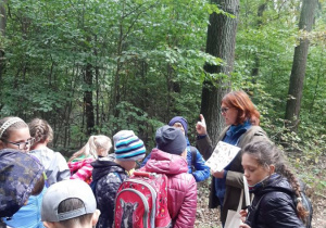 Uczniowie słuchają informacji o zwierzętach zamieszkujących las w Łagiewnikach.