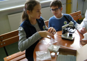Uczennica z uczniem przygotowują preparat mikroskopowy.