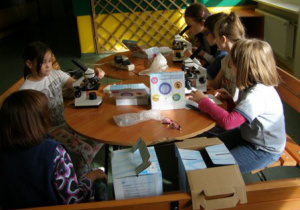 Sześcioro uczniów podczas mikroskopowania.