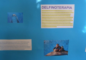 Plakat promujący delfinoterapię.