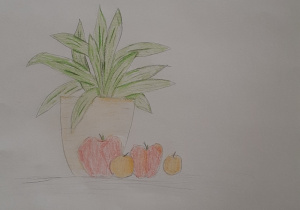 Kompozycja przedstawiająca jabłka na tle doniczkowego kwiatka.