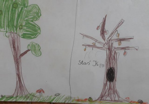 Jesienne drzewa - praca plastyczna w wykonaniu ucznia płaską techniką rysunkową (kredki)