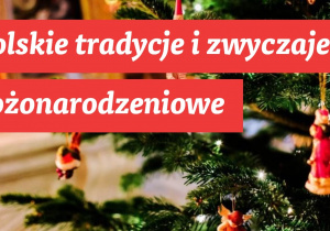 Slajd tytułowy prezentacji Natalii K. - tytuł na tle gałązki choinki