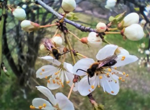 Wyniki Szkolnego konkursu fotograficznego "Wiosna w obiektywie"