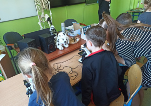 Dzieci z przedszkola oglądają preparaty pod mikroskopem.