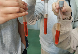 Uczniowie trzymają probówki zawierające dwa niemieszające się roztwory o różnej gęstości - biały i czerwony.