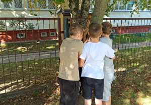 Chłopcy przytulają się do drzewa.