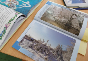 Wystawa książek z bajkami i zdjęciami zimowej aury
